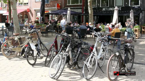 2021 06 12 terras 06