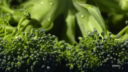 2021 06 15 broccoli nature grass plant lawn leaf flower 1216156 pxhere