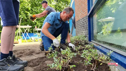 2021 06 18 acceent aeres tegels wippen 01