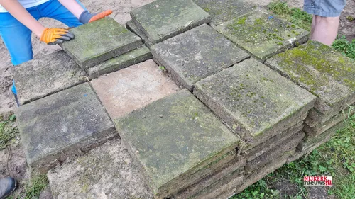 2021 06 18 acceent aeres tegels wippen 04