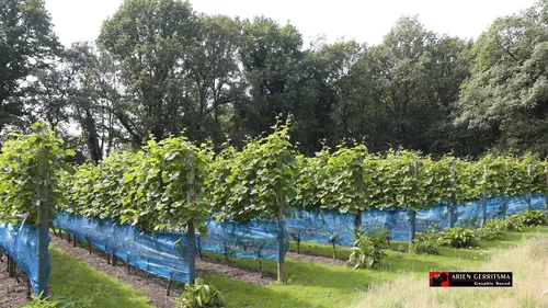 2021 08021 proef de passie 08