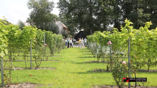 2021 08021 proef de passie 15