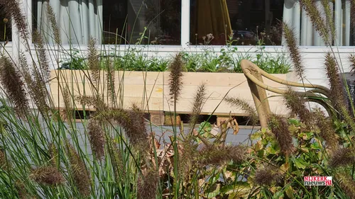 2021 09 28 experience bwi groen corlaer college lodenstein 008