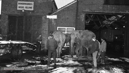 2021 10 02 expositie suijk 2