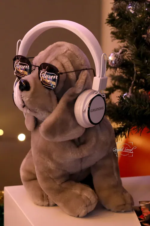 2021 11 01 glazen thuis hond