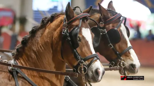 2021 11 05 menindoorr 08