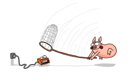 2021 11 24 op stekker expeditie