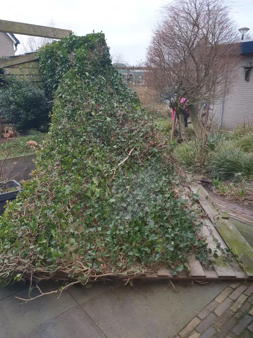 2022 02 18 omgewaaide schutting