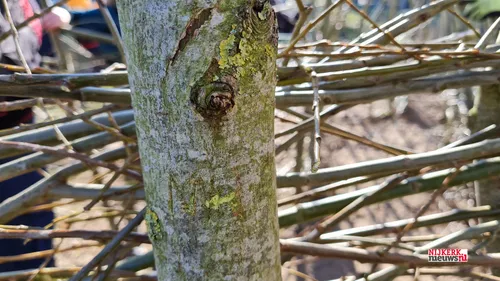 2022 03 10 nl doet 005