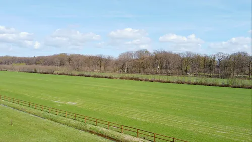 2022 04 10 wal hoevelakense bos 4