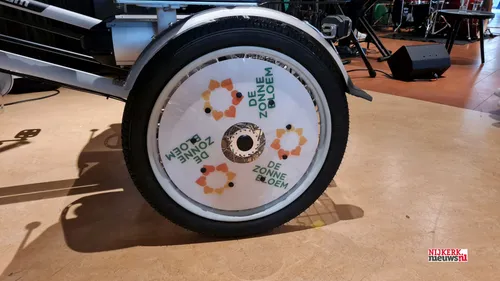 2022 06 10 zonnebloem willeke alberti 05