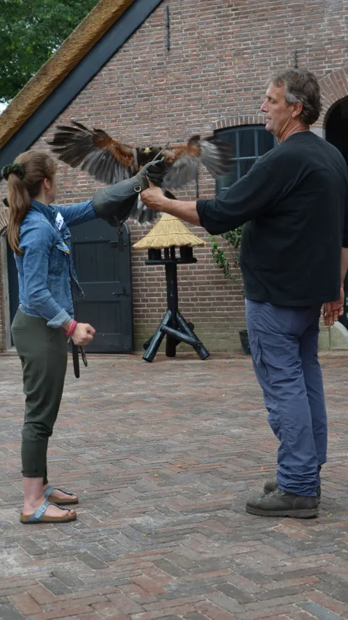 2022 06 27 hjello you 2