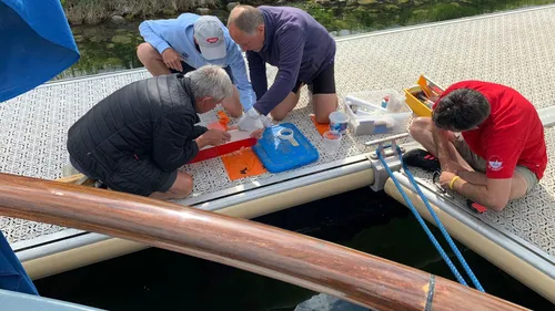 2022 07 02 zuidwal reparatie roeiriem