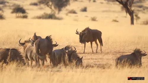 2022 07 24 arjen gnoe