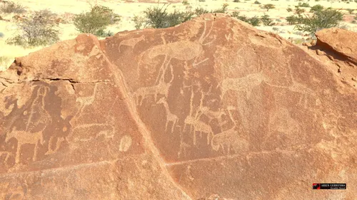 2022 07 28 arjen steen