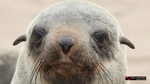 2022 07 28 arjen zeerobkop