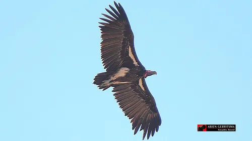 2022 07 30 arjen ethosa 1