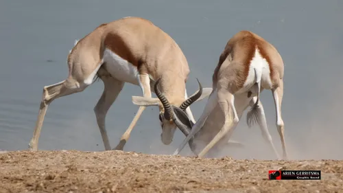 2022 07 30 arjen ethosa 5