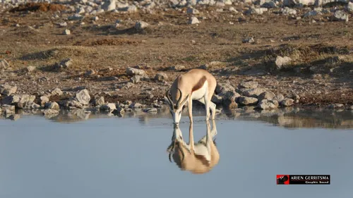 2022 07 30 arjen ethosa 8