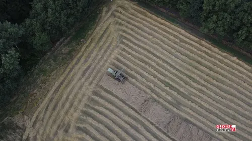 2022 08 06 oogst rogge