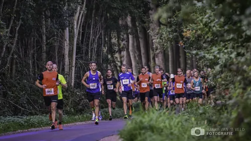 2022 10 08 veluwepoortloop harry 13