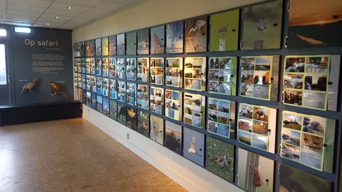 2022 10 27 droge voeten in de polder 4