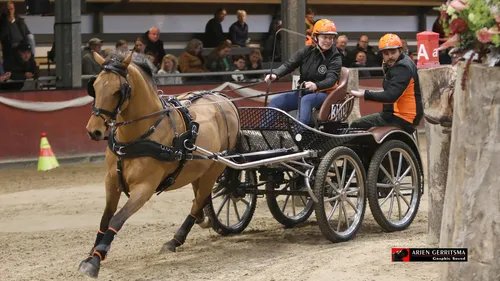 2022 11 03 menindoor 03