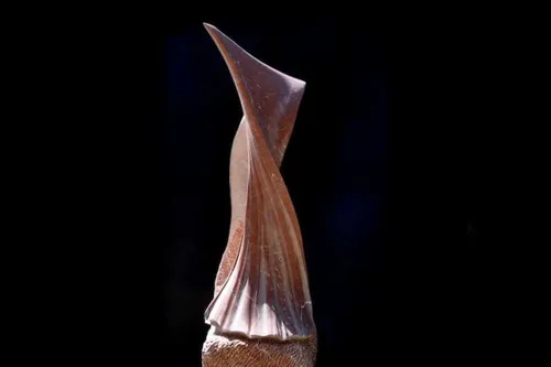 2022 12 08 coster the fragile memory of hope studio 3