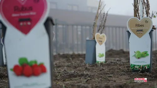 2022 12 09 holk ter riele voedselbosi 004