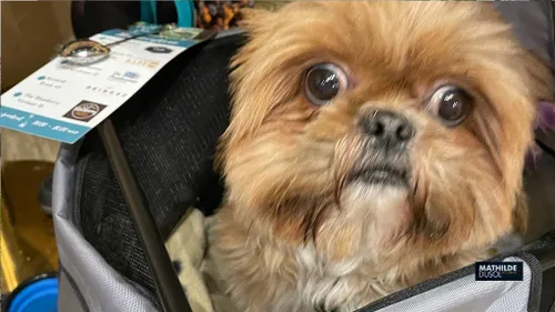 2023 01 22 proef de thee 2