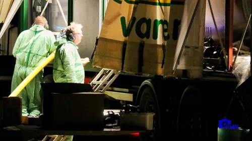 2023 01 26 weer vogelgriep uitbraak nu in nijkerk image 1 1