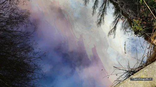 2023 02 06 dode vissen 1