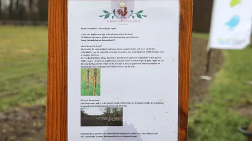 2023 03 10 nl doet 002