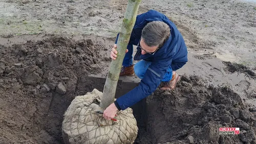 2023 03 24 boom windhouwer 004