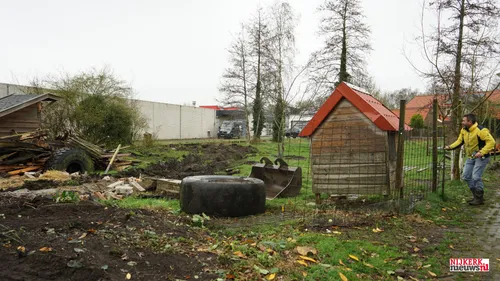 2023 03 31 geitenweide 2