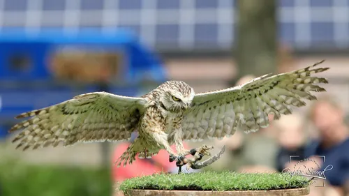 2023 05 06 slichtenhorstt 21