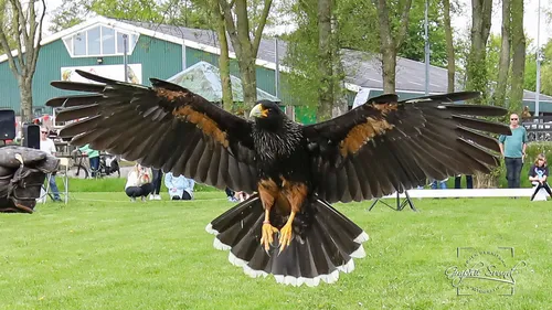 2023 05 06 slichtenhorstt 29