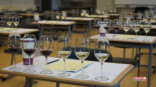 2023 05 31 wijnexamen 03