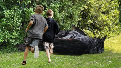 2023 06 29kauw ben 1