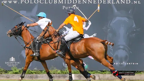 2023 07 10 polo hockey paard 09
