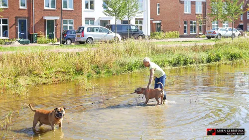 2023 08 23 lekker zomers 2
