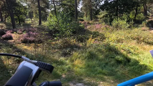 2023 09 11 f4d sibert 3