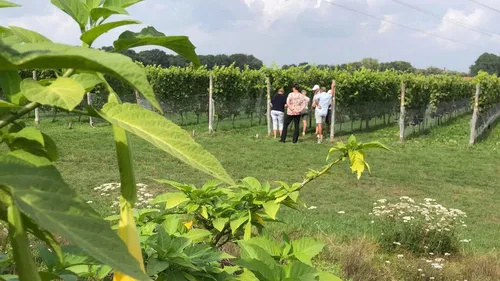 2023 09 12 f4d sibert 4