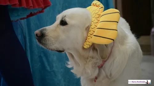 2023 10 04 bij loet thuis 3