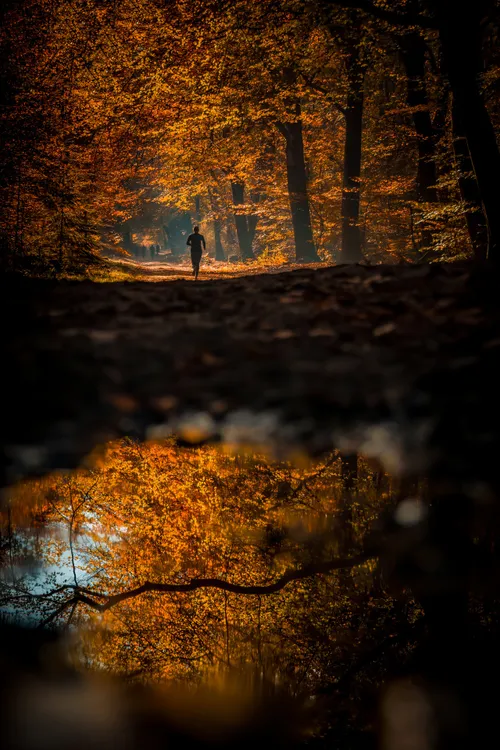 2023 10 07 pauline van t veld 1 1