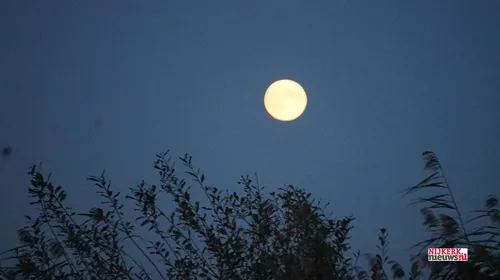 2023 10 28 wijncruise corvino 10