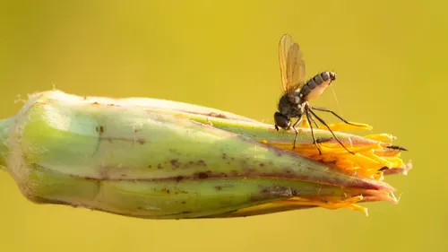 2023 11 01 vastenburg 001