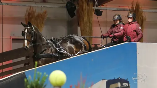 2023 11 03 menindoor 01