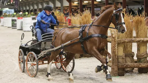 2023 11 03 menindoor 17