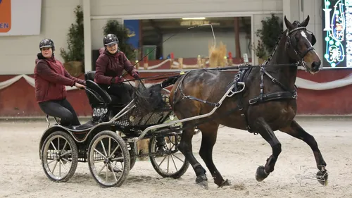 2023 11 03 menindoor 20